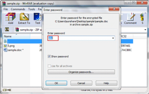 zip password genius professional