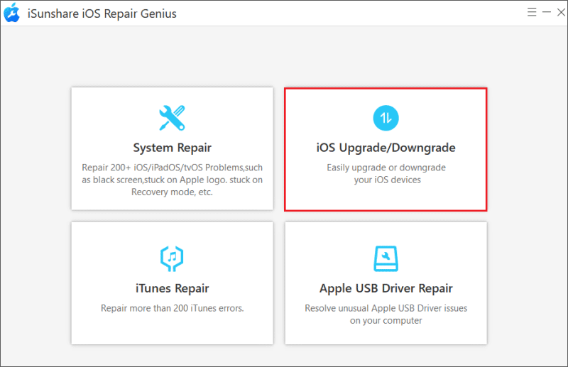 choose downgrade iOS option