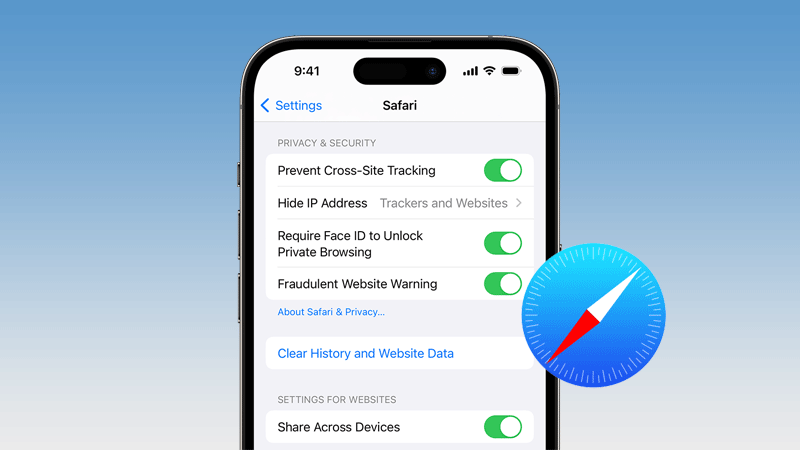 clear safari history and website data