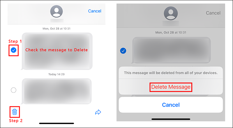 Delete iPhone Message from Conversation