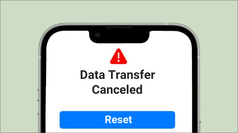 Data Transfer Canceled iPhone 16