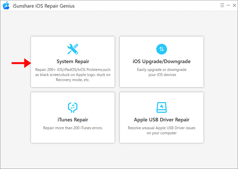 select System Repair option