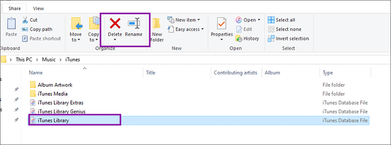 rename or delete iTunes library file