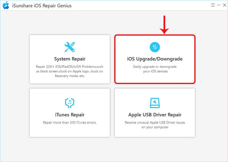 select iOS Upgrade/Downgrade