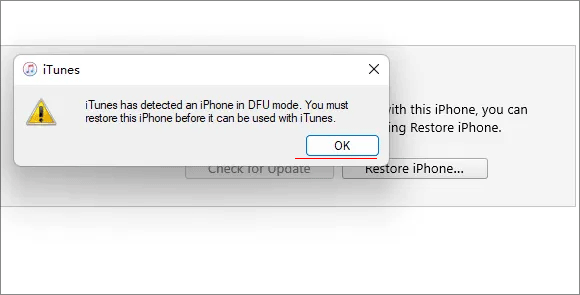 restore iphone via DFU mode in itunes