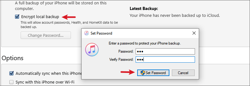 Encrypt local backup