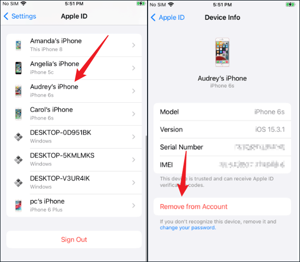 remove iphone from apple id