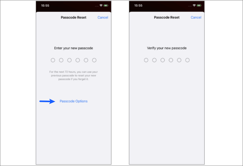 enter and verify your new passcode