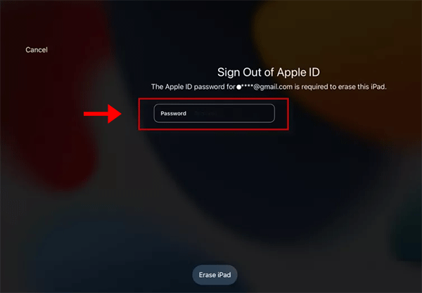 enter Apple ID password