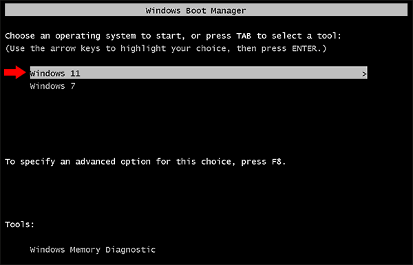 choose Windows 11 to start