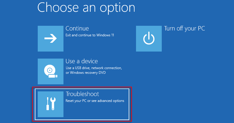 Set Windows 11 to Enter the Advanced Boot Options Menu