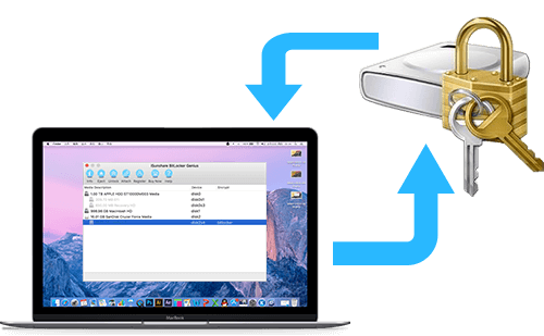 how to change sd card from exfat to ntfs on mac