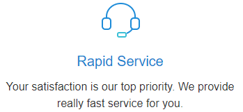 rapid service